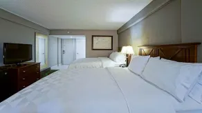 Holiday Inn At the Campus by IHG - Chambre