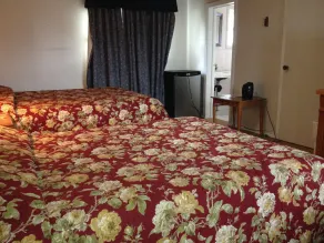 American Plaza Motel - Chambre