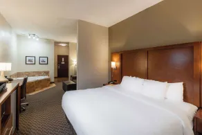 Comfort Suites Troy-I75 - Room