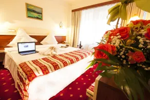 Hotel Prahova Plaza - Room