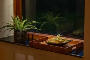 Nazaara - A Luxe Retreat - Restaurant