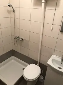 Sreser Dubrovnik Apartments Urlic - Bathroom