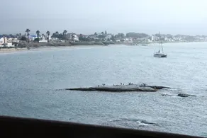 Hoedjiesbaai Hotel - View from room