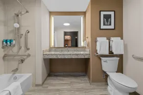 Drury Plaza Hotel Nashville Southeast Century Farms - Bathroom