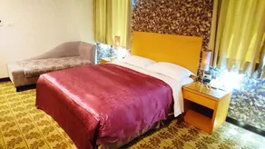 Metropolis Hotel - Chambre
