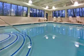 Holiday Inn Express & Suites Detroit - Novi by IHG - Piscine