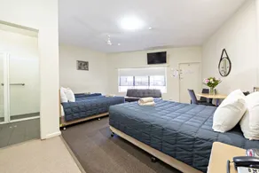 Matilda Motor Inn - Room