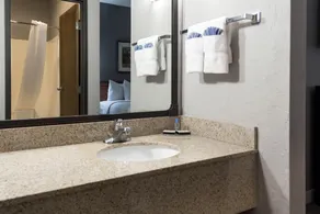 New Victorian Inn - Sioux City - Salle de bain