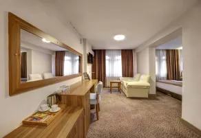 Kocaeli Stargate Otel İzmit - Room
