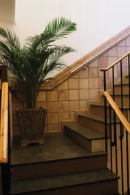 Hotel Can Solé - Réception