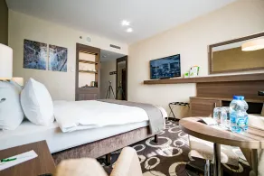Holiday Inn Dąbrowa Górnicza-Katowice by IHG - Værelse