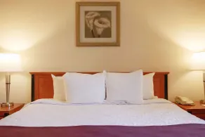 Hotel St-Denis - Chambre