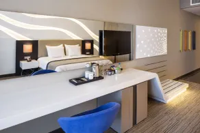 Ramada Hotel & Suites by Wyndham Izmir Kemalpasa - Habitación