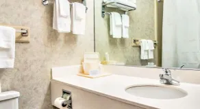 Quality Inn University Area - Salle de bain