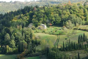 AGRITURISMO LA PIAGGIA appartamenti a Vivo D'Orcia - Verschiedenes