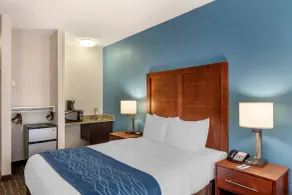 Comfort Inn & Suites Lees Summit - Kansas City - Room