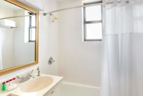 Ramada by Wyndham Jersey City - Salle de bain