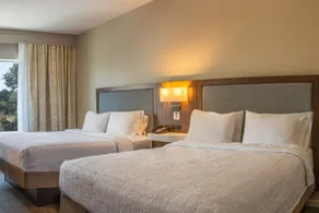 Hampton Inn & Suites Boerne - Chambre