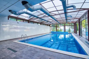 Park Hotel Arbanassi - Pool