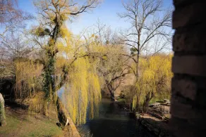 Hôtel-SPA Le Moulin De La Wantzenau - Strasbourg Nord - Udsigt fra værelset