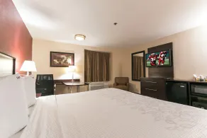 Red Roof Inn PLUS+ San Antonio Downtown - Riverwalk - Rom