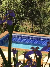 Villa Domaso - Pool