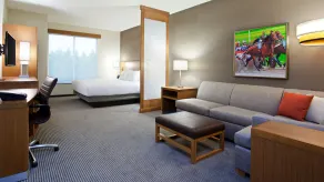 Hyatt Place Hollywood Casino &amp; Racetrack Pittsburgh South - Chambre