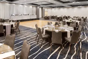 Delta Hotels by Marriott Minneapolis Northeast - Réception