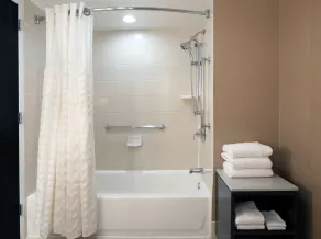 Embassy Suites by Hilton Houston Near the Galleria - Chambre