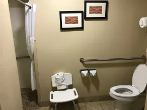 Comfort Inn Livingston - Badrum