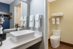 Best Western Kokomo Hotel - Bathroom