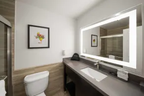 La Quinta by Wyndham Laredo Airport - Salle de bain