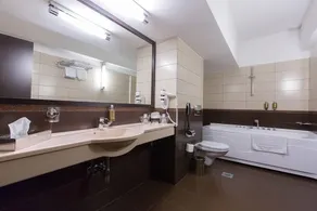 Ramada Iasi City Center - Bathroom
