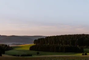 Waldhotel Kreuztanne - Vista dalla camera