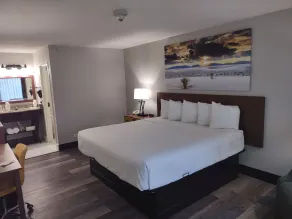 Days Inn by Wyndham Port Charlotte Town Center - Chambre