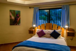 The Inn at Palo Alto - Room