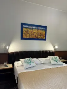 Hotel Astoria - Chambre