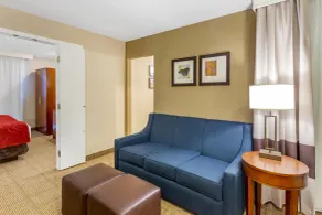 Comfort Suites Oakbrook Terrace - Chicago West - Habitación