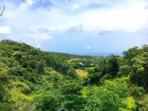 Muumin Farm - Vue de la chambre