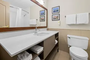 Comfort Inn Plymouth-Minneapolis - Zimmer