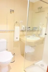 Swiss Wellness Hotel Suites - Badrum