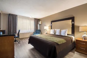Rodeway Inn & Suites Portland West - Beaverton - Chambre