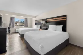 Days Inn by Wyndham Albany SUNY - Chambre