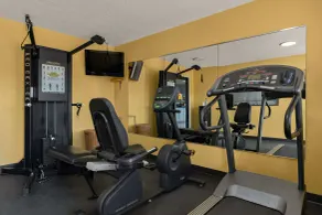 Quality Inn & Suites Dublin - Salle de remise en forme