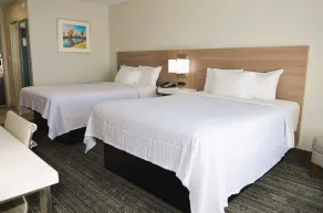 Americas Best Value Inn & Suites-Foley - Fully Renovated - Chambre