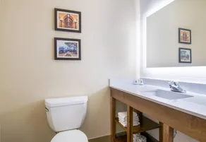Comfort Inn & Suites Harrisburg - Hershey West - Badezimmer
