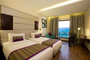 Golden Tulip Panchkula - Rum