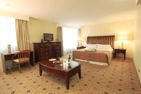 Hotel Torremayor Lyon - Room