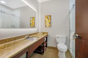 Comfort Suites Sumter near Shaw AFB - Salle de bain
