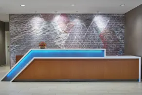 SpringHill Suites by Marriott Charlotte at Carowinds - Réception